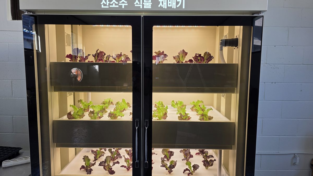 맞춤 제작 산소수 식물 재배기 내부