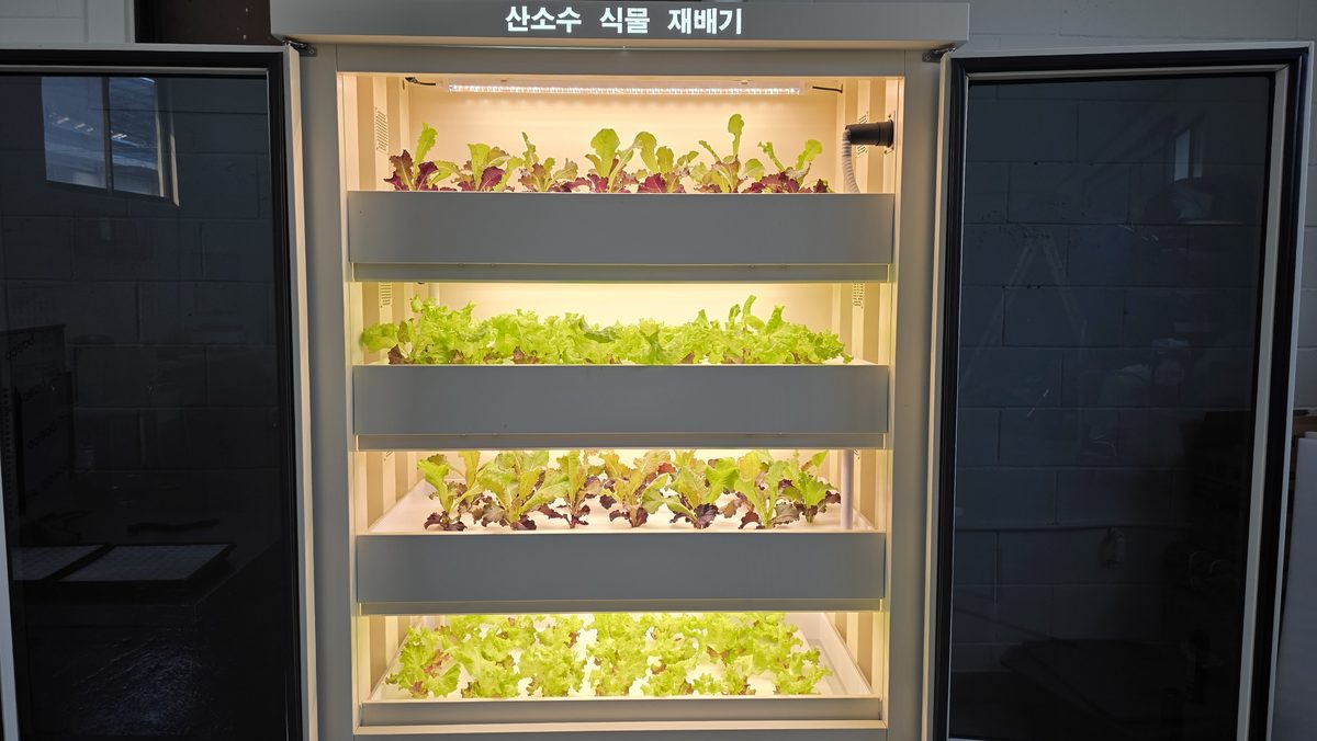 가로형 2단 산소수 식물 재배기